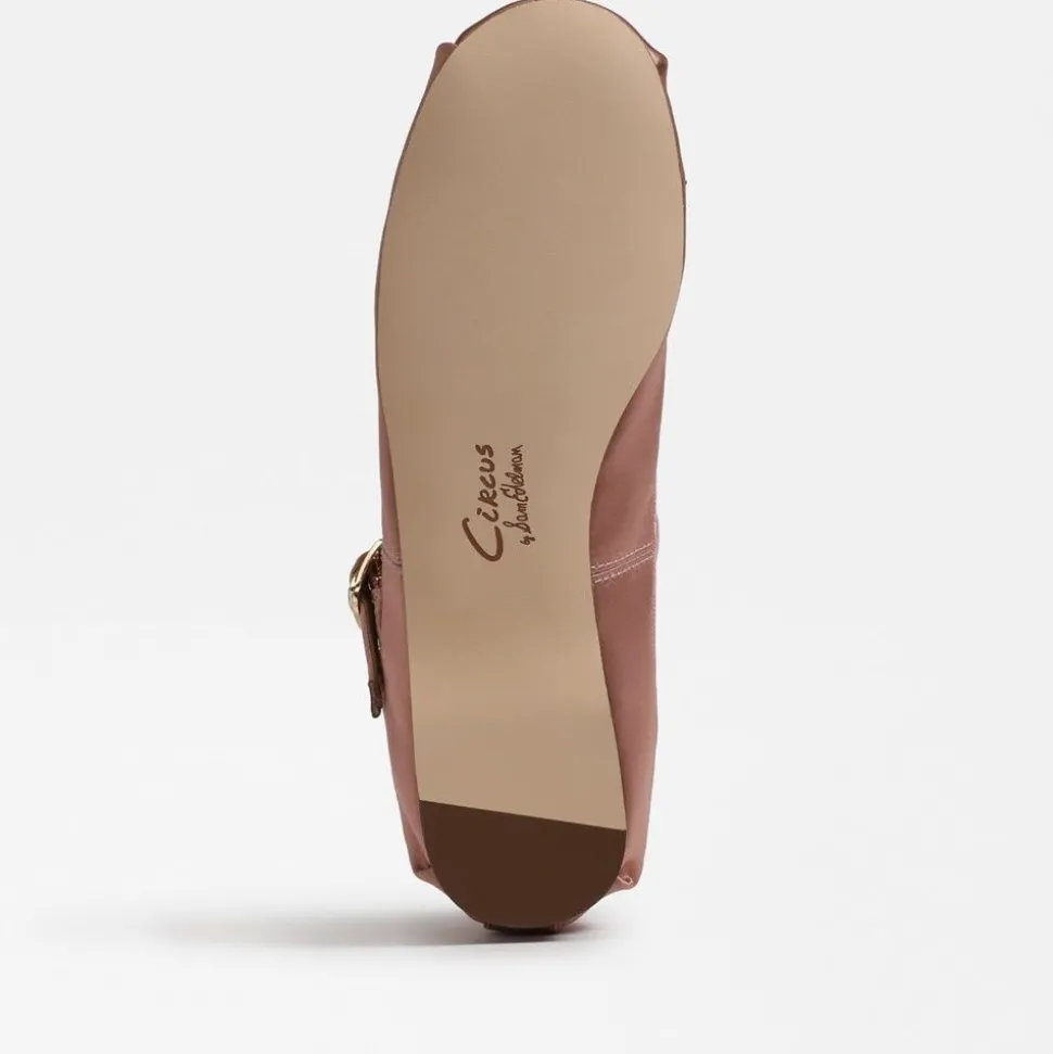 Circus by Sam Edelman Flat- Zuri Strap Ballet Flat Dark French