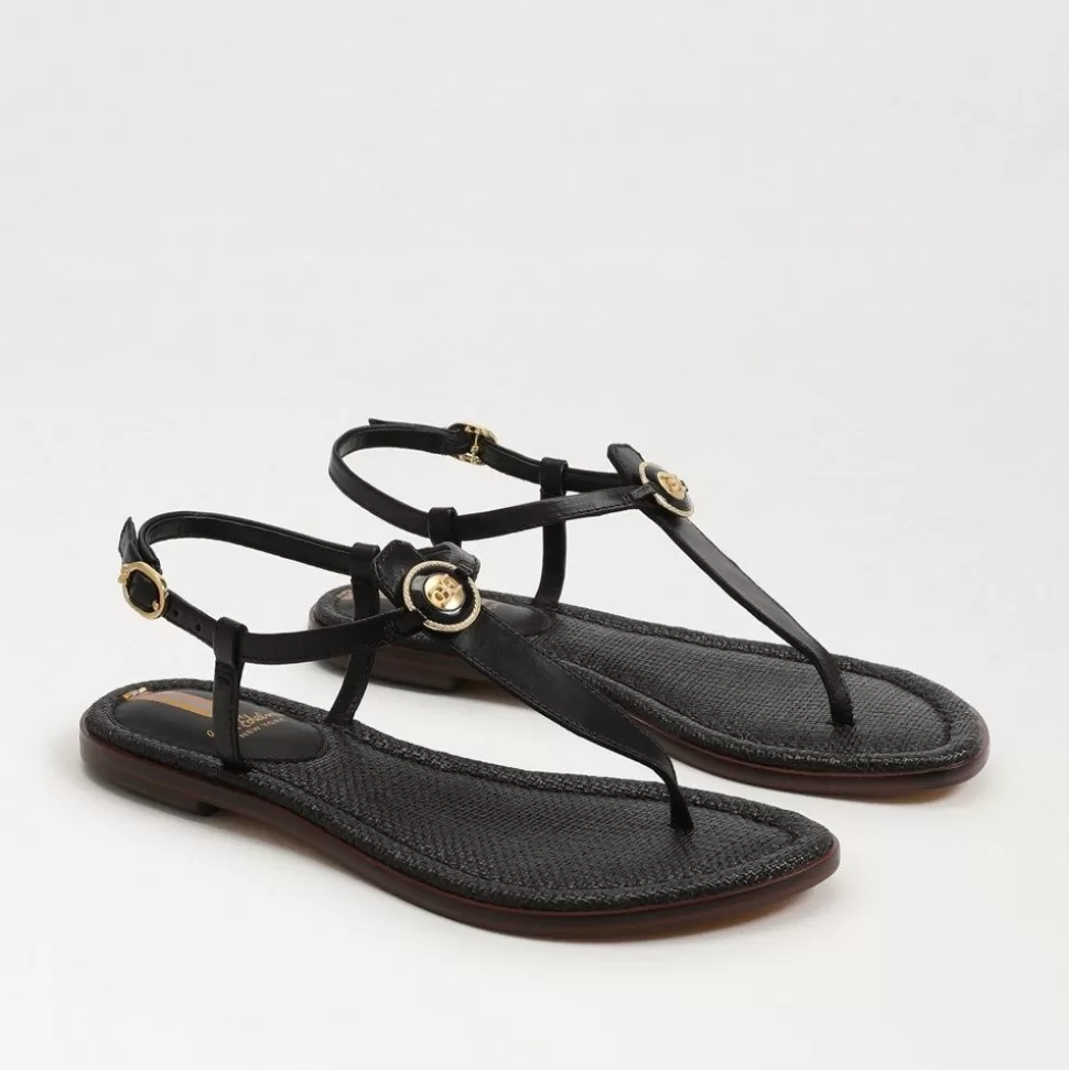 Sam Edelman Sandal- Gigi Black Signet Sandal